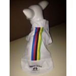 Sportief regenboog wielrenshirt